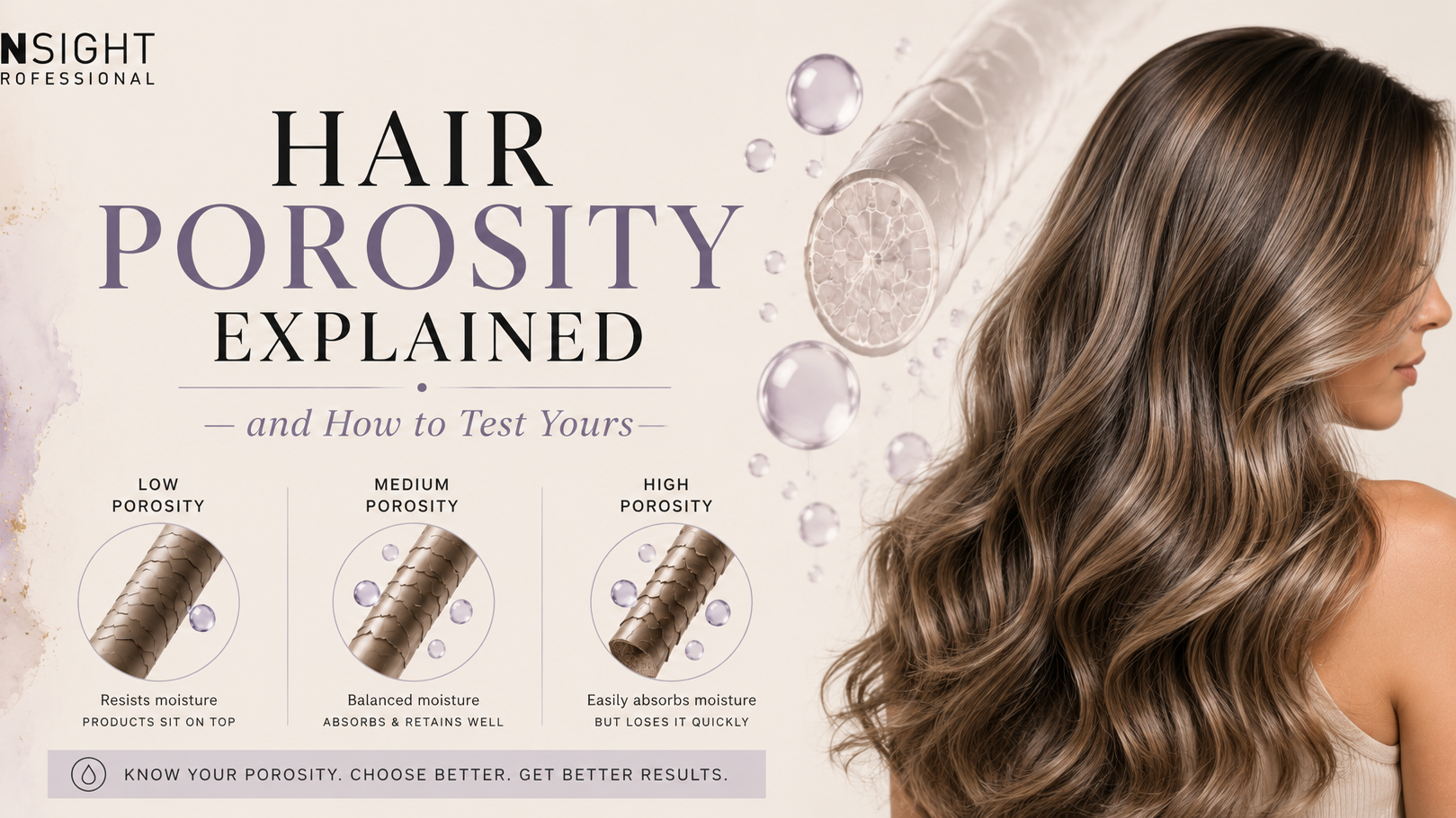 Insight Professional blog banner explaining hair porosity with educational graphics showing low, medium and high porosity hair types, alongside healthy shiny hair and illustrations demonstrating how hair absorbs and retains moisture.