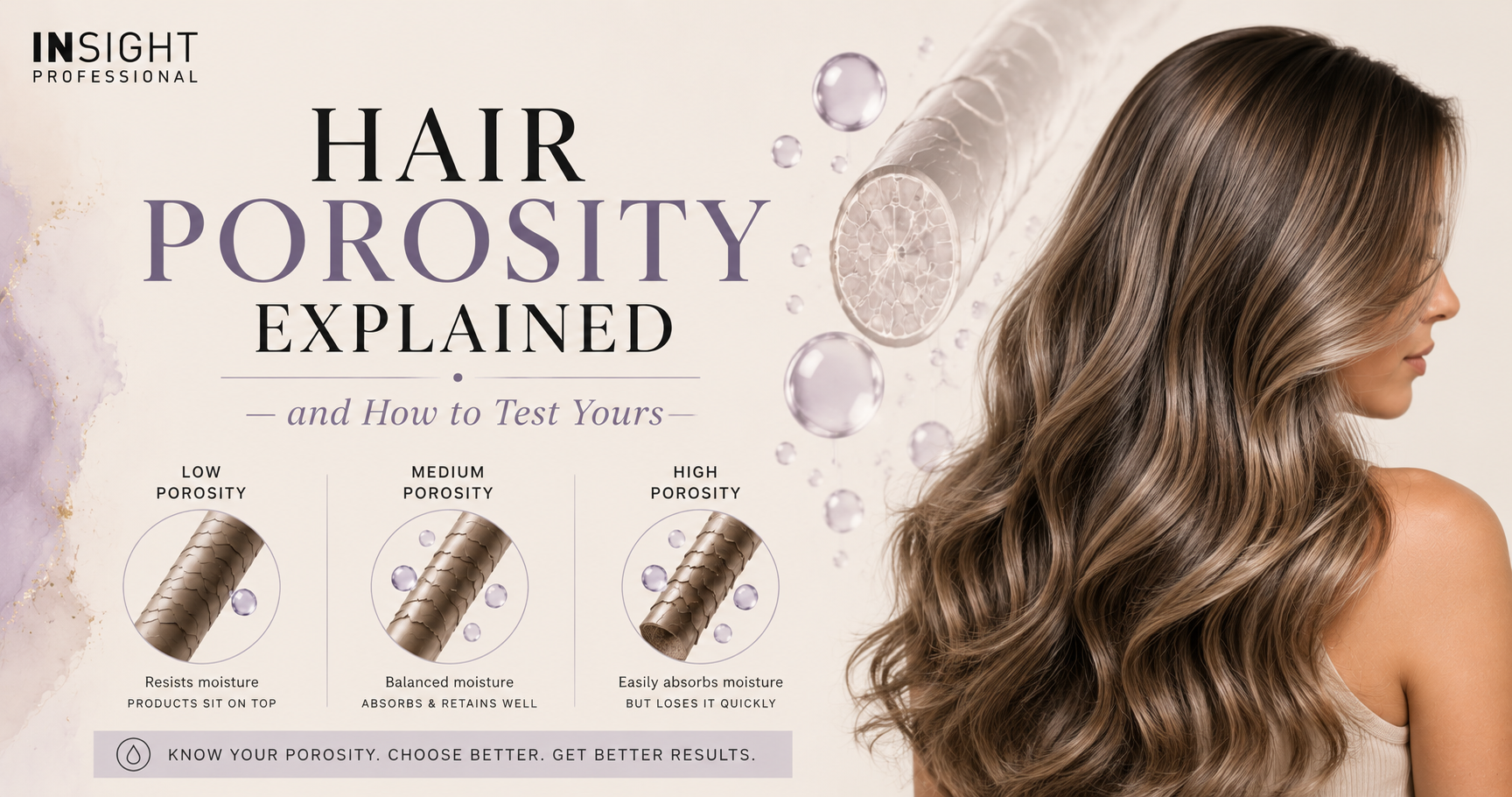 Insight Professional blog banner explaining hair porosity with educational graphics showing low, medium and high porosity hair types, alongside healthy shiny hair and illustrations demonstrating how hair absorbs and retains moisture.
