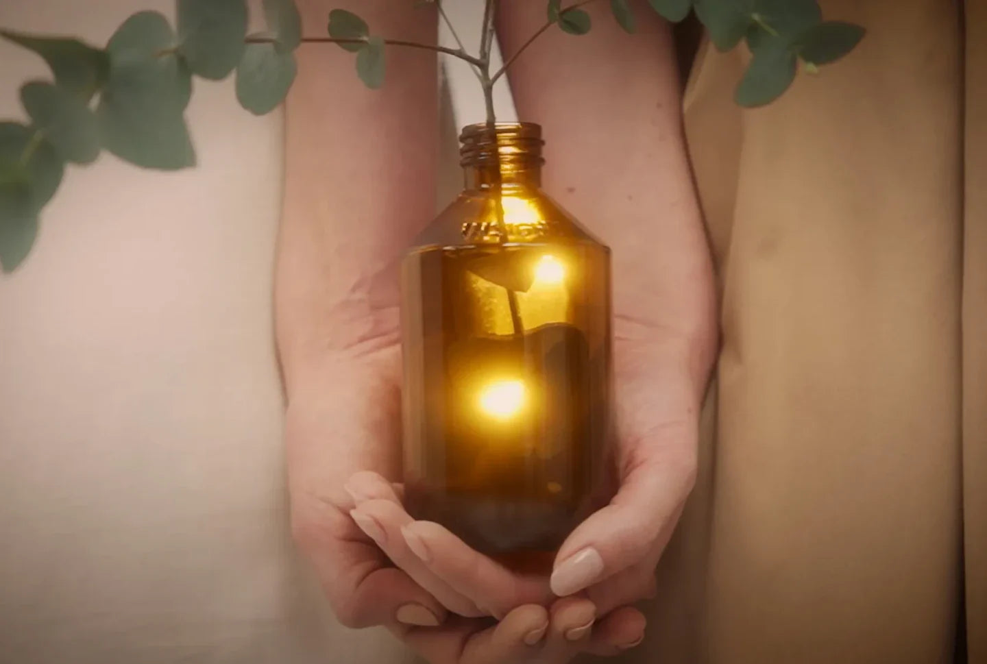 The future is transparent