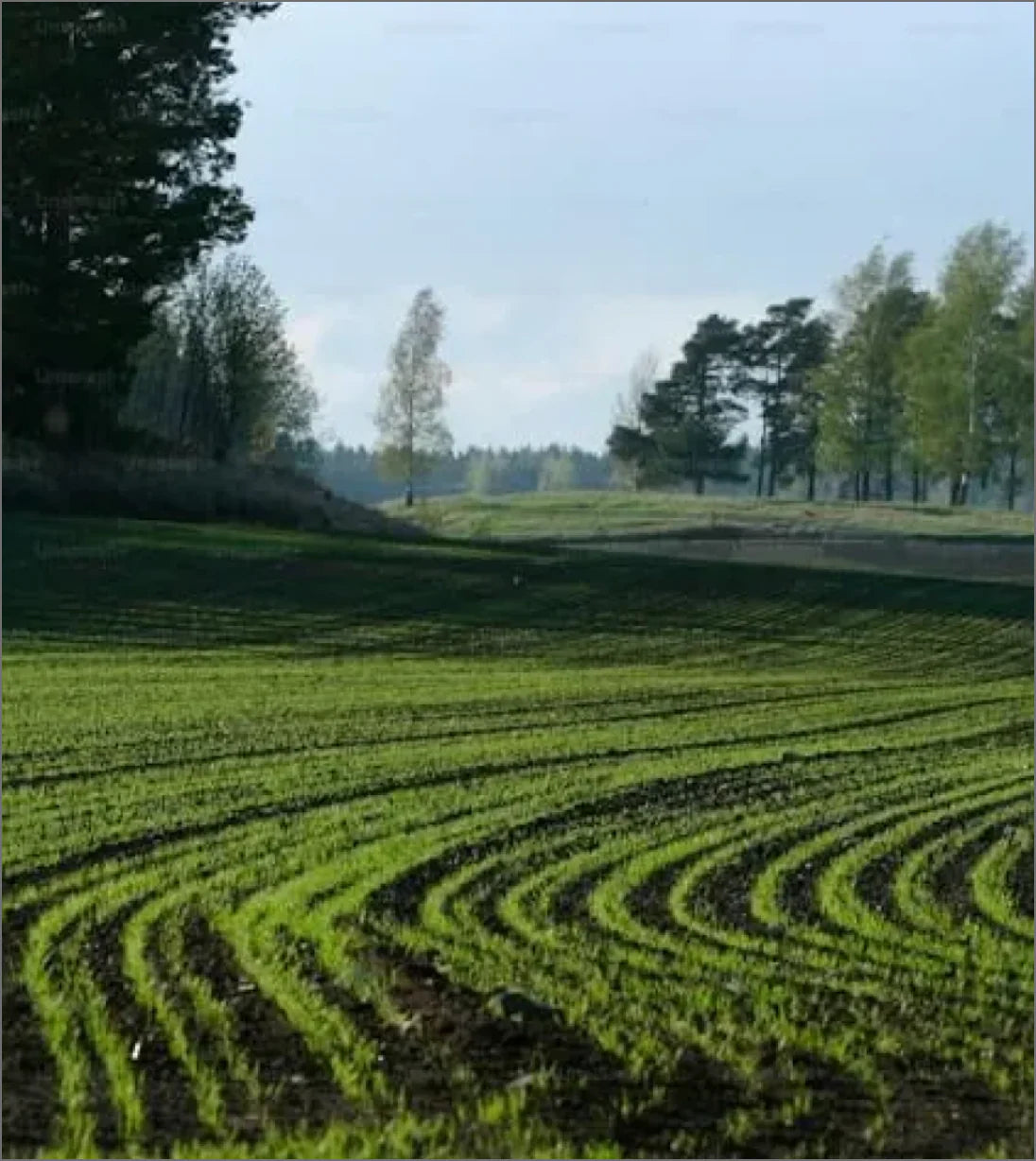 Alt Image